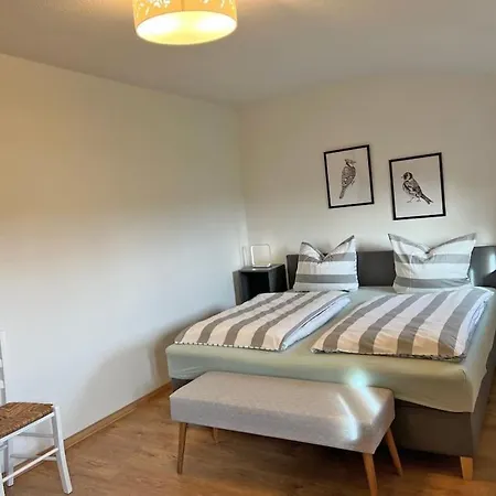 Wollin Mecklenburg Pool Alte Schule Barlin