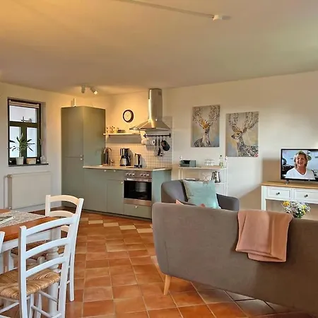 Wollin Mecklenburg Pool Alte Schule Barlin Appartement *