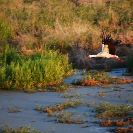Appartement Wollin Mecklenburg Pool Alte Schule Barlin Dargun