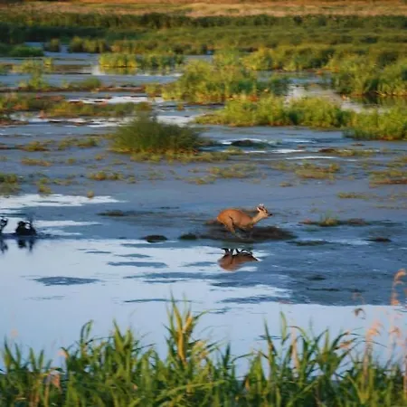 Wollin Mecklenburg Pool Alte Schule Barlin Dargun