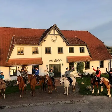 Wollin Mecklenburg Pool Alte Schule Barlin
