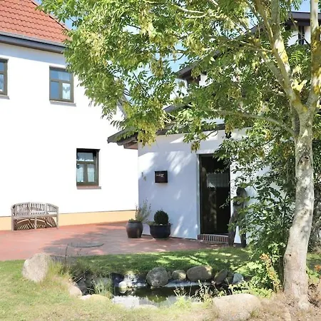 Wollin Mecklenburg Pool Alte Schule Barlin